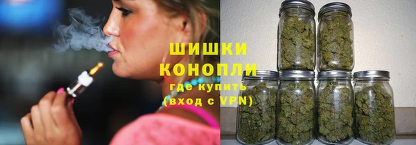 гашик Белокуриха