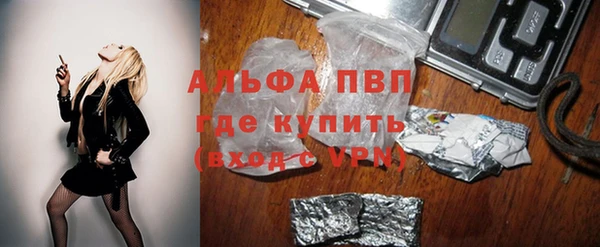 гашик Белокуриха