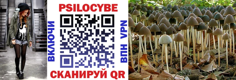 Галлюциногенные грибы Psilocybine cubensis  нарко площадка как зайти  Черноголовка 